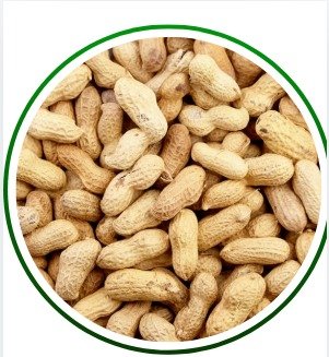 COOP Farm Fresh Groundnuts
