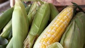 COOP Farm Fresh Sweet Corn 1kg